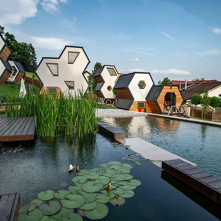 Apartments Beeland Skok Mozirje Εξωτερικό φωτογραφία